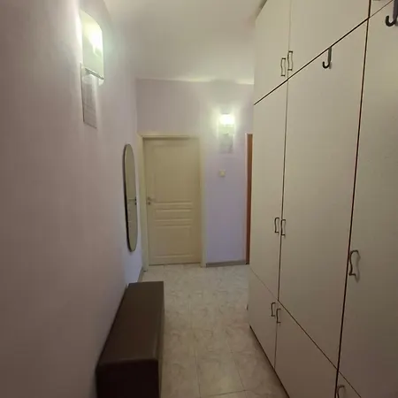 ехо студио ستارا زاغورا