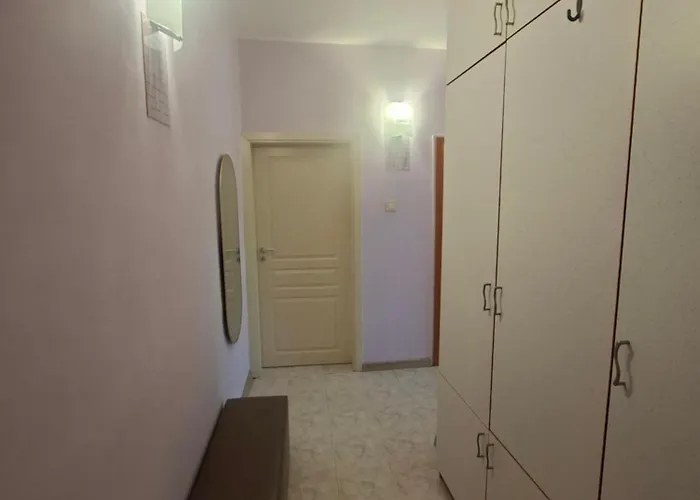 ехо студио ستارا زاغورا